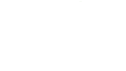 a2 Solutions